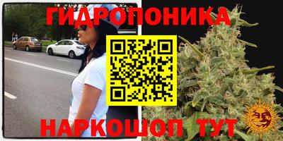 метамфетамин Гусев