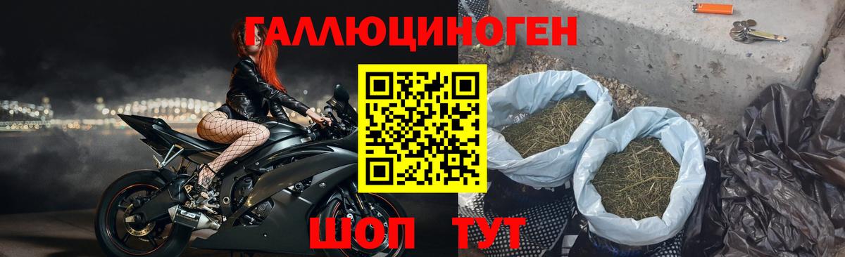 Псилоцибиновые грибы GOLDEN TEACHER  Вход с VPN  Ростов Великий 